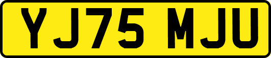 YJ75MJU