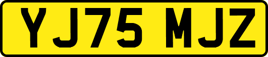 YJ75MJZ