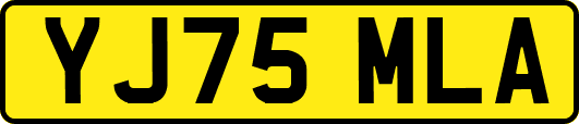 YJ75MLA