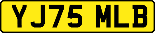 YJ75MLB