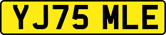 YJ75MLE