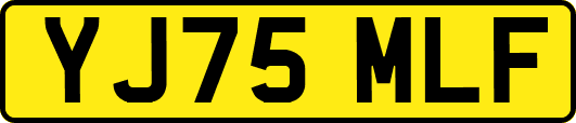 YJ75MLF