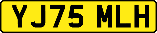 YJ75MLH