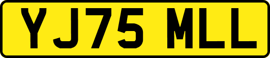 YJ75MLL