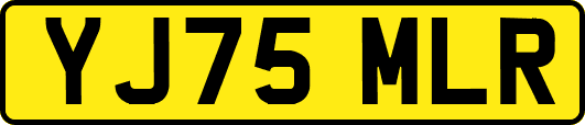 YJ75MLR