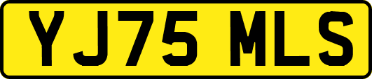 YJ75MLS