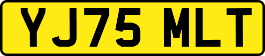 YJ75MLT