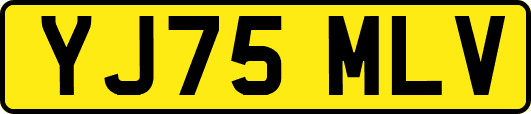 YJ75MLV