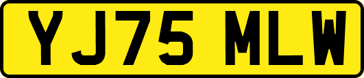 YJ75MLW