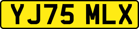 YJ75MLX