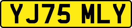 YJ75MLY