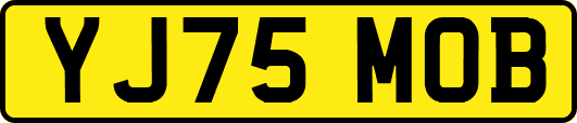YJ75MOB