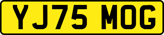 YJ75MOG
