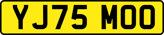 YJ75MOO