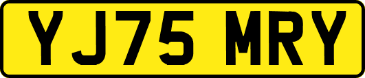 YJ75MRY