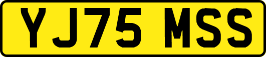 YJ75MSS