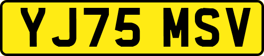 YJ75MSV