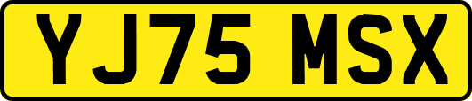 YJ75MSX
