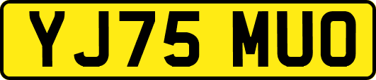 YJ75MUO