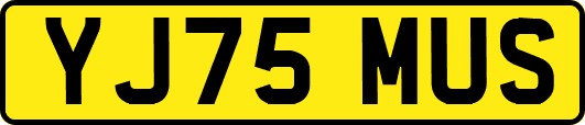 YJ75MUS