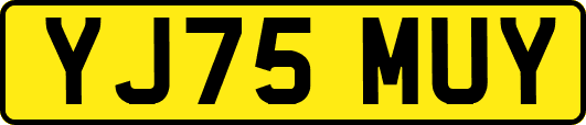 YJ75MUY
