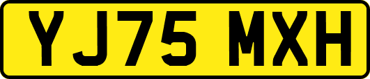 YJ75MXH
