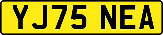 YJ75NEA