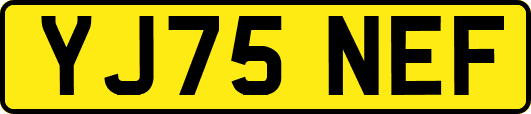 YJ75NEF