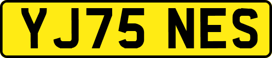 YJ75NES