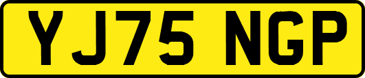 YJ75NGP
