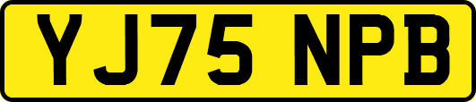 YJ75NPB