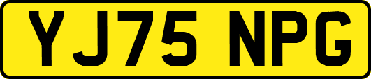 YJ75NPG