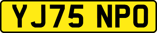 YJ75NPO