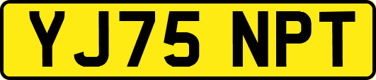 YJ75NPT