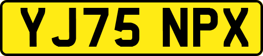 YJ75NPX