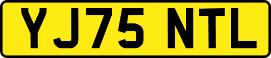 YJ75NTL