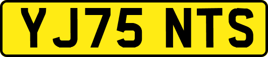 YJ75NTS