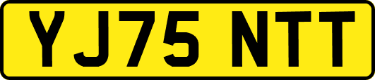 YJ75NTT