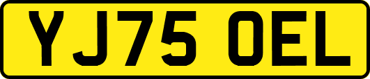 YJ75OEL