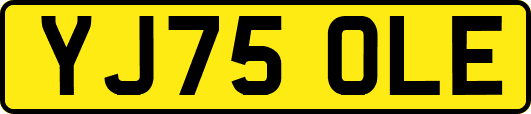 YJ75OLE
