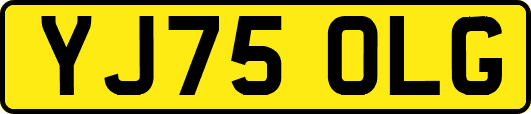 YJ75OLG