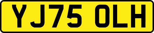 YJ75OLH