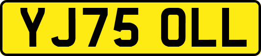 YJ75OLL