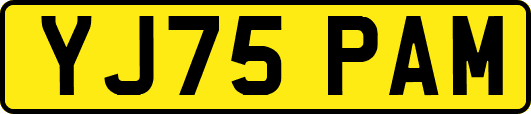 YJ75PAM