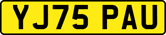 YJ75PAU