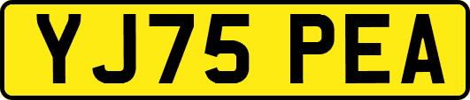 YJ75PEA