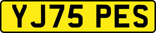 YJ75PES