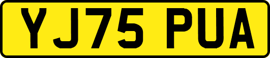 YJ75PUA