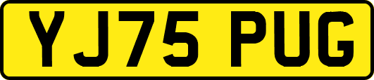 YJ75PUG