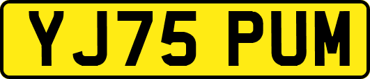 YJ75PUM
